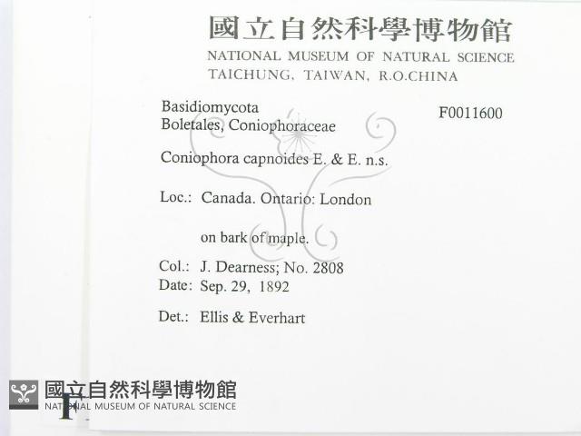 登錄號:F0011600藏品圖，第2張