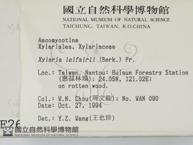 登錄號:F0002600藏品圖，第2張