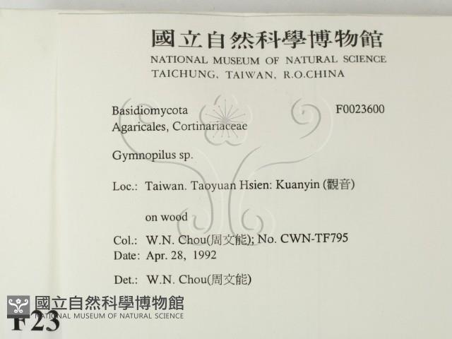登錄號:F0023600藏品圖，第2張