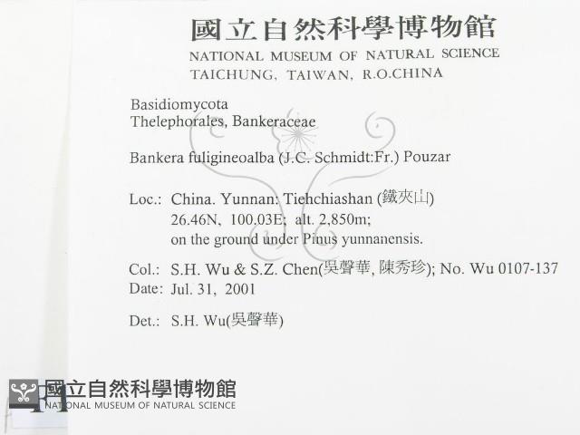 登錄號:F0013600藏品圖，第2張