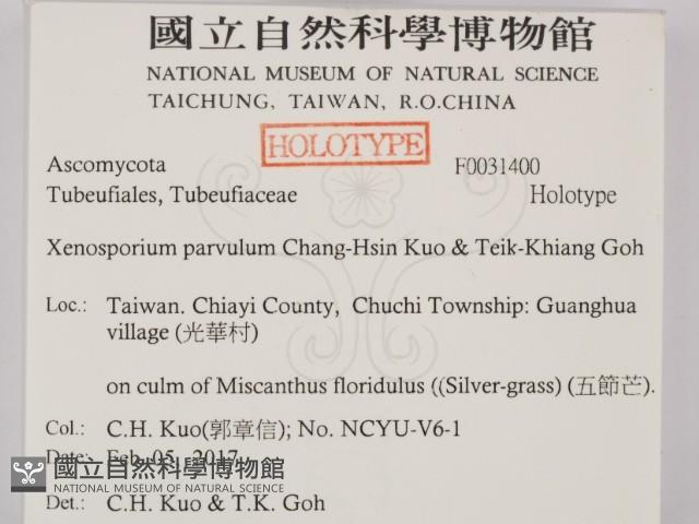 登錄號:F0031400藏品圖，第2張