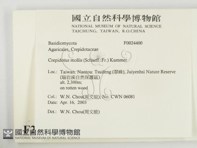 登錄號:F0024400藏品圖，第2張