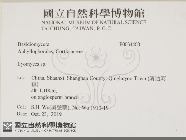登錄號:F0034400藏品圖，第2張