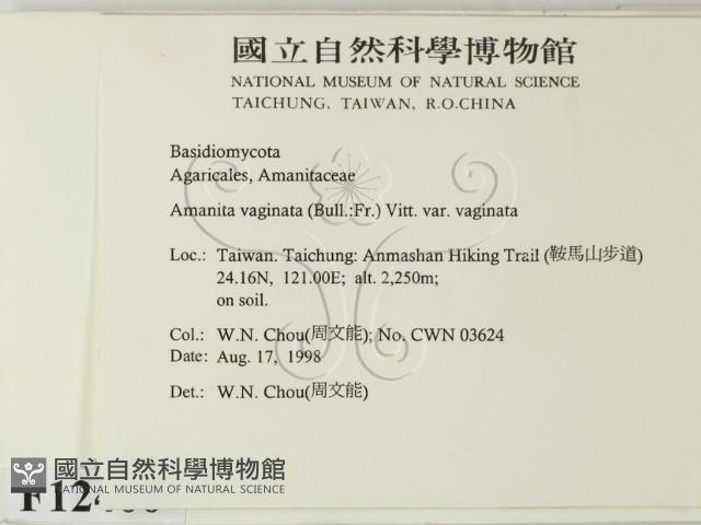 登錄號:F0012400藏品圖，第2張
