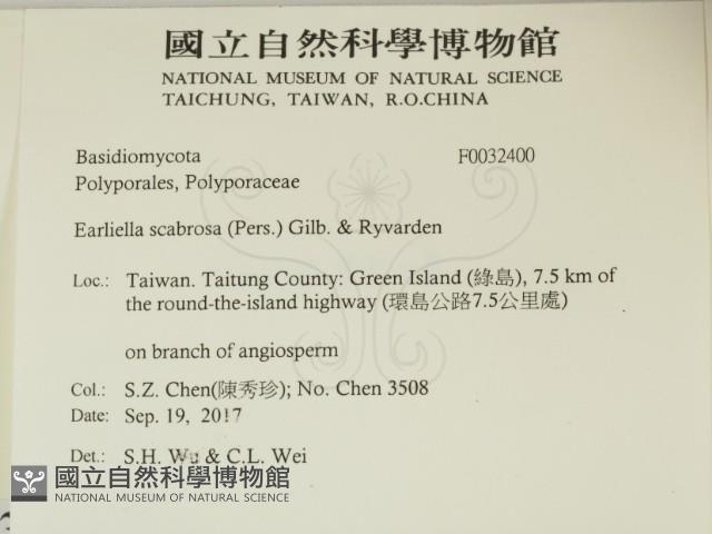登錄號:F0032400藏品圖，第2張