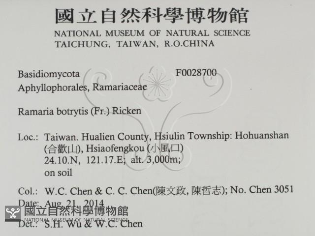 登錄號:F0028700藏品圖，第2張