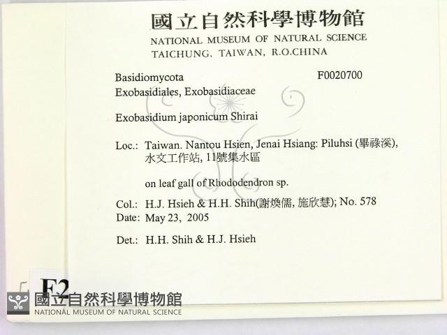 登錄號:F0020700藏品圖，第2張