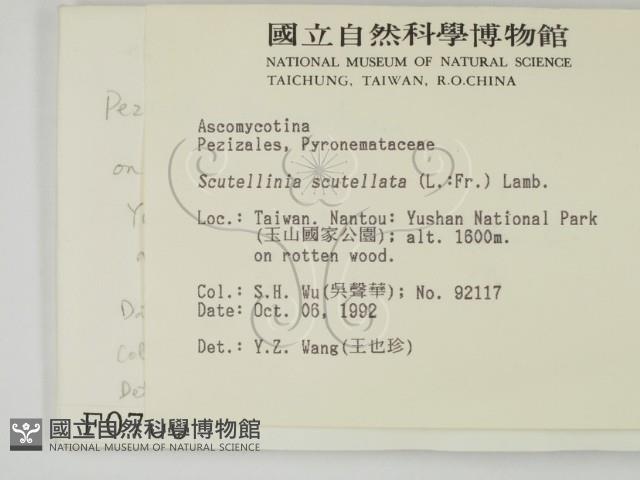 登錄號:F0000700藏品圖，第2張