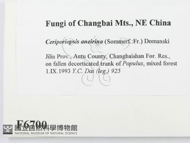 登錄號:F0006700藏品圖，第2張