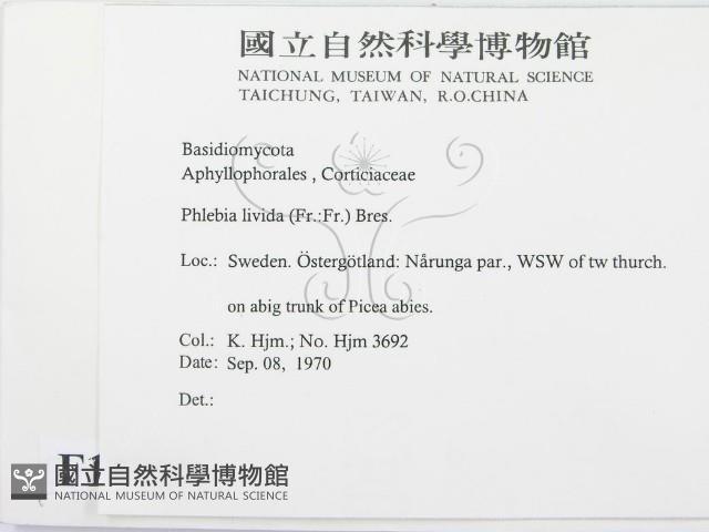 登錄號:F0016700藏品圖，第2張