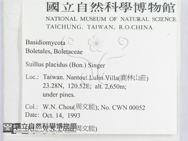 登錄號:F0001700藏品圖，第2張