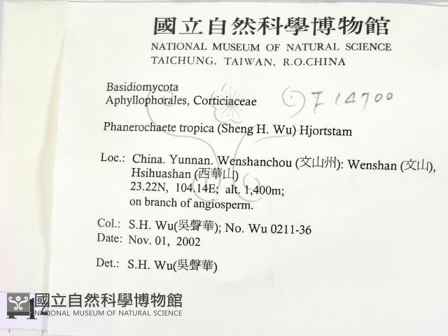 登錄號:F0014700藏品圖，第2張