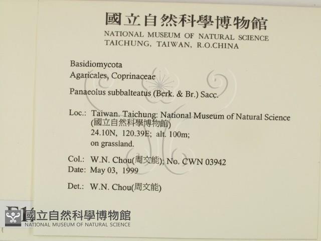 登錄號:F0012700藏品圖，第2張
