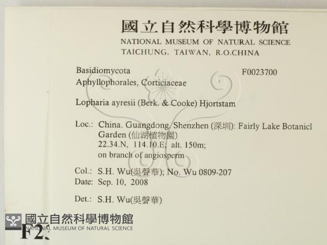 登錄號:F0023700藏品圖，第2張