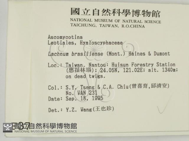 登錄號:F0003700藏品圖，第2張