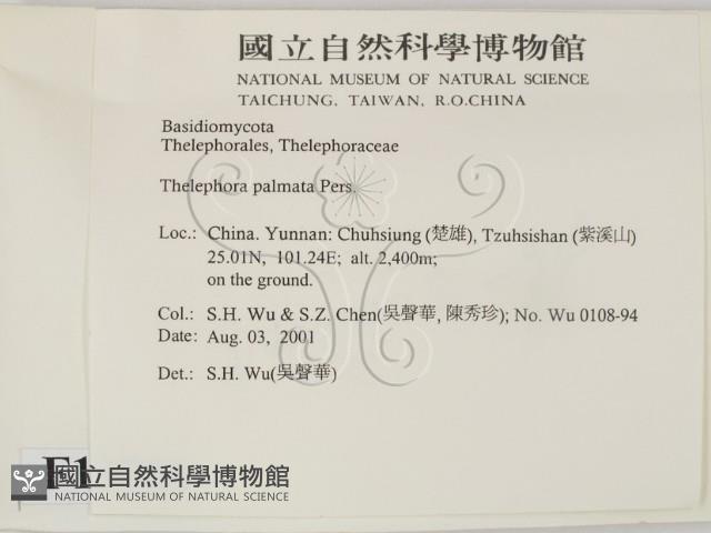 登錄號:F0013700藏品圖，第2張