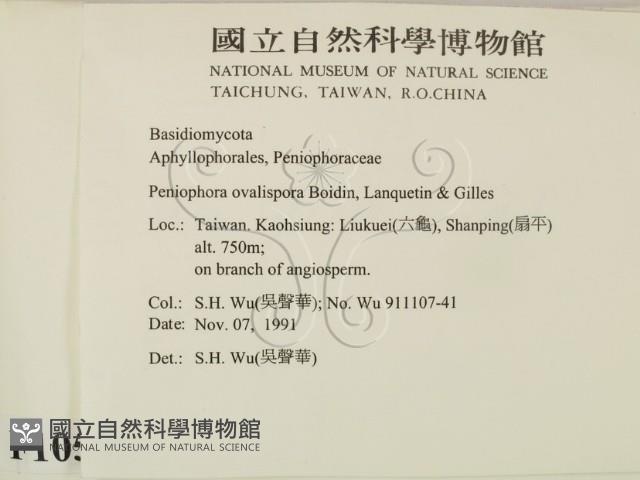 登錄號:F0010500藏品圖，第2張