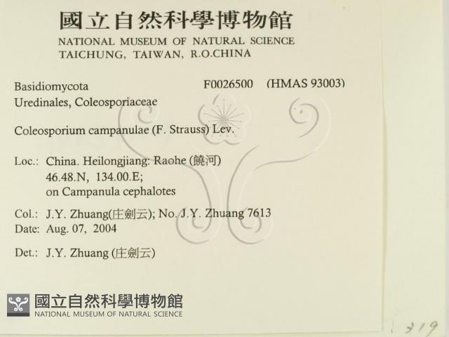 登錄號:F0026500藏品圖，第2張