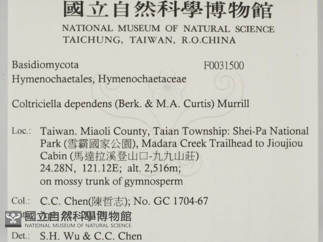 登錄號:F0031500藏品圖，第2張