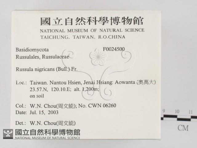 登錄號:F0024500藏品圖，第2張