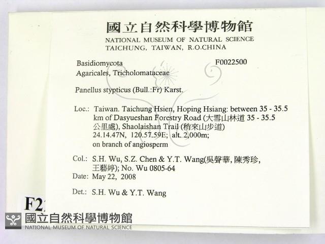 登錄號:F0022500藏品圖，第2張