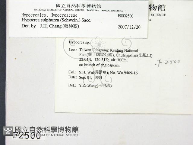 登錄號:F0002500藏品圖，第2張