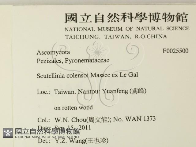 登錄號:F0025500藏品圖，第2張