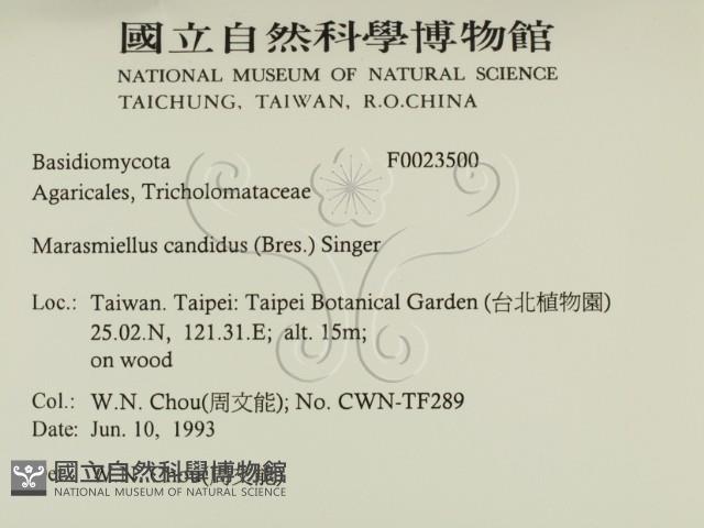 登錄號:F0023500藏品圖，第2張