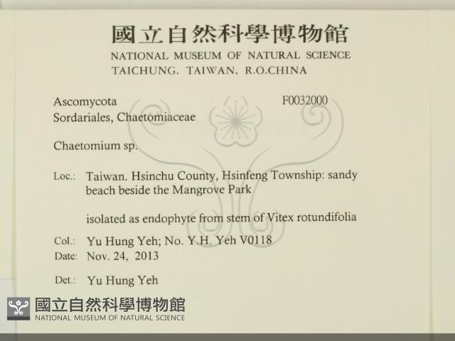 登錄號:F0032000藏品圖，第2張