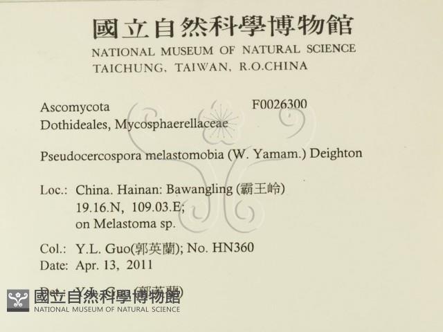 登錄號:F0026300藏品圖，第2張