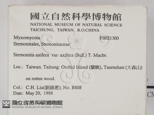 登錄號:F0021300藏品圖，第2張