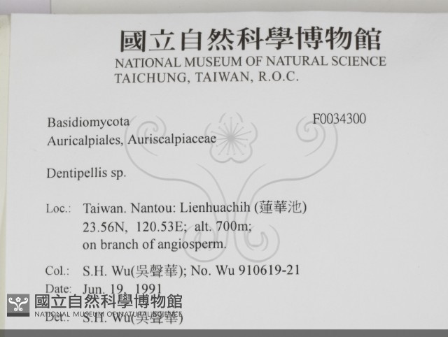 登錄號:F0034300藏品圖，第2張