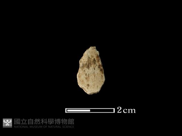 矛鏃形器藏品圖，第2張