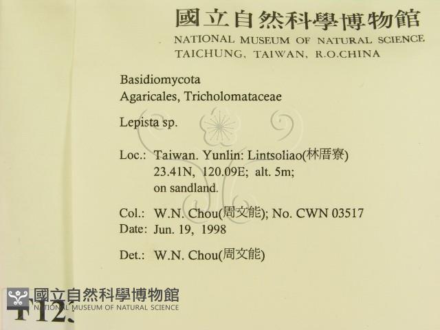 登錄號:F0012300藏品圖，第2張