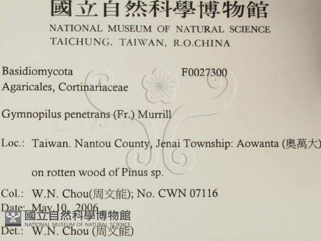 登錄號:F0027300藏品圖，第2張