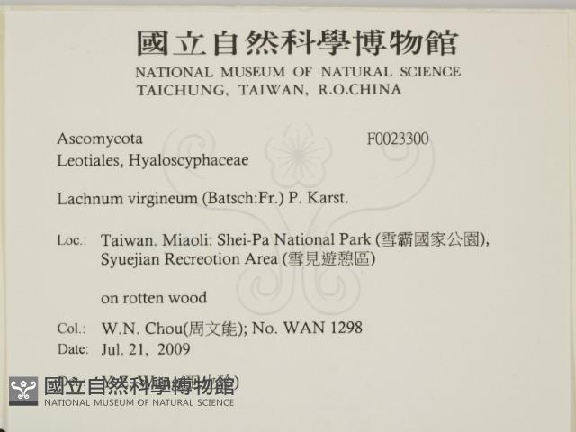 登錄號:F0023300藏品圖，第2張