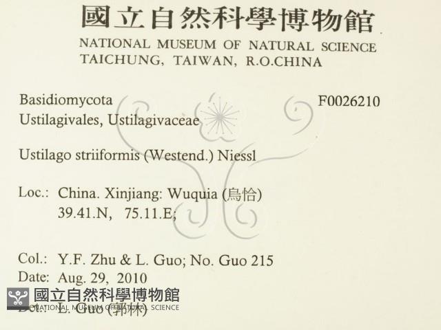 登錄號:F0026210藏品圖，第2張