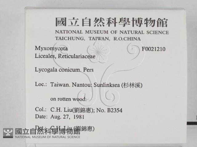 登錄號:F0021210藏品圖，第2張