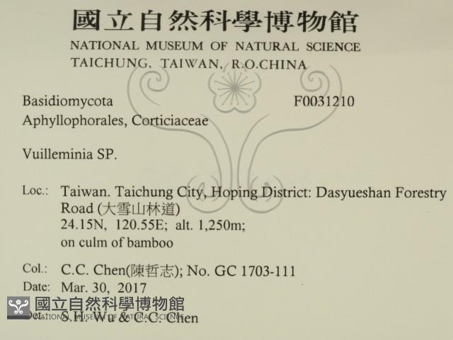 登錄號:F0031210藏品圖，第2張