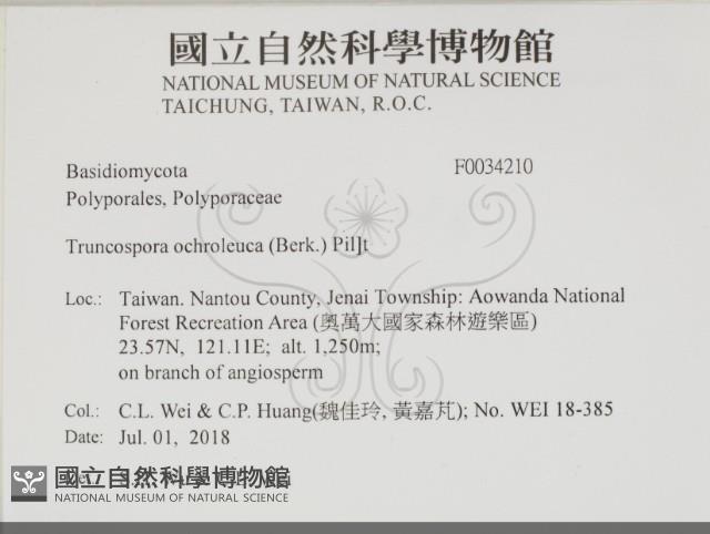 登錄號:F0034210藏品圖，第2張