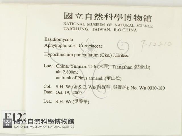 登錄號:F0012210藏品圖，第2張