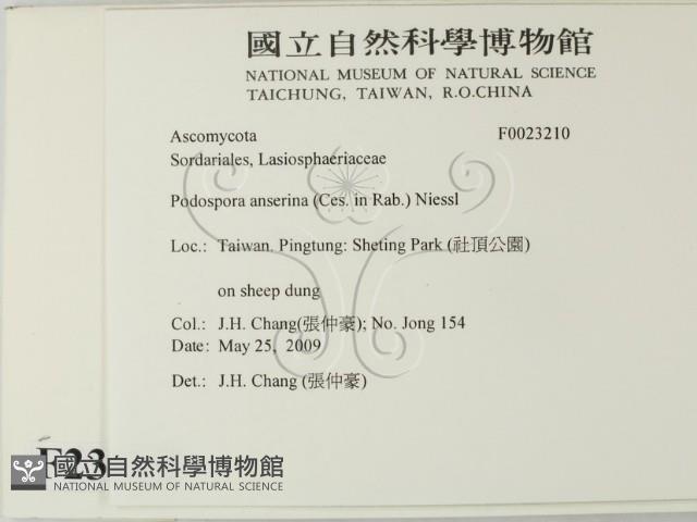 登錄號:F0023210藏品圖，第2張