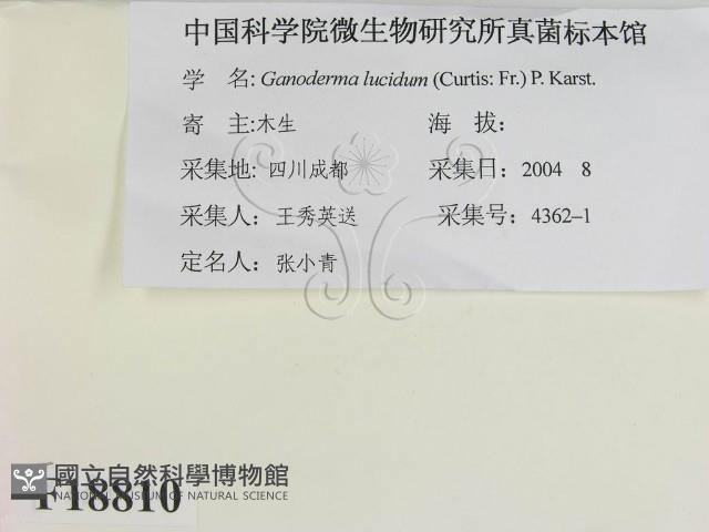 登錄號:F0018810藏品圖，第2張