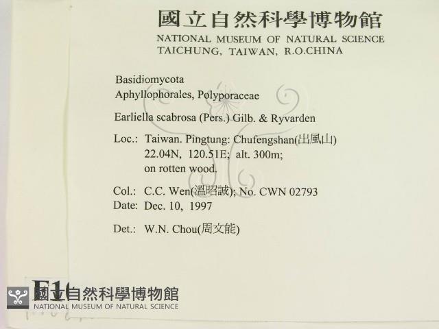 登錄號:F0010810藏品圖，第2張