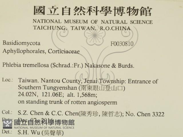 登錄號:F0030810藏品圖，第2張