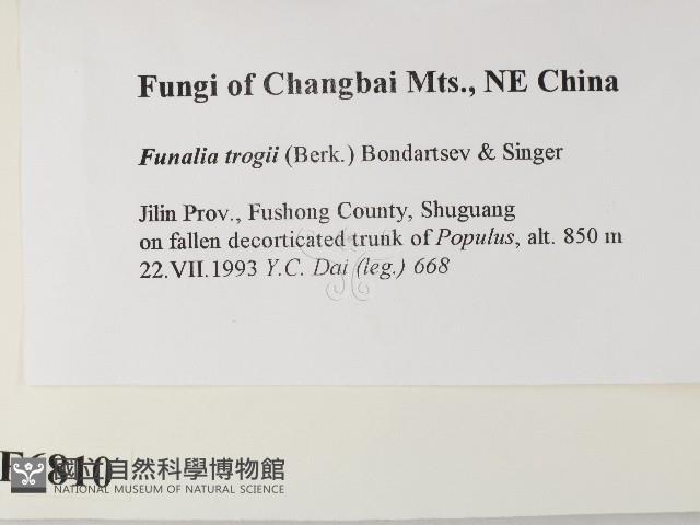 登錄號:F0006810藏品圖，第2張