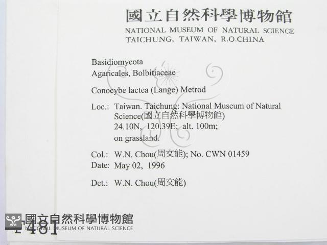 登錄號:F0004810藏品圖，第2張