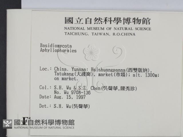 登錄號:F0007810藏品圖，第2張