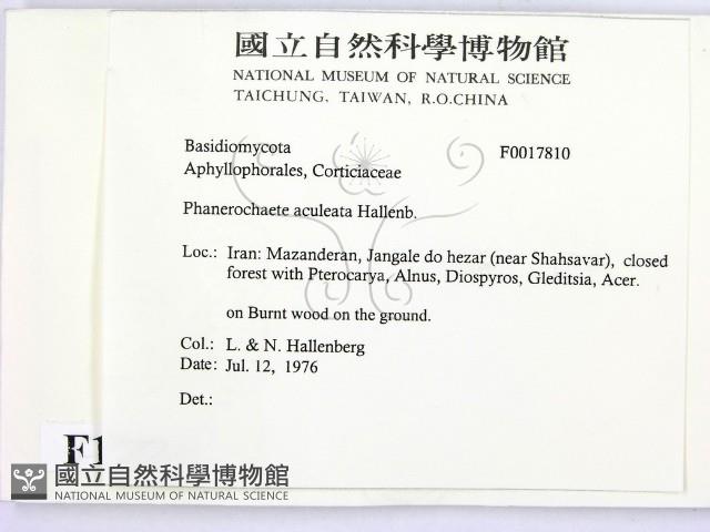 登錄號:F0017810藏品圖，第2張