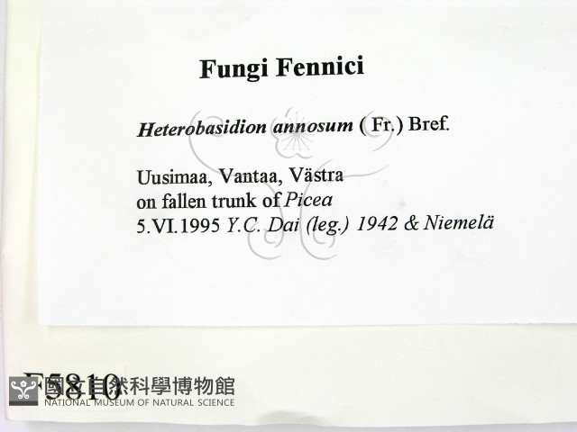 登錄號:F0005810藏品圖，第2張